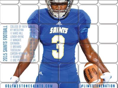 Saints Season Football Tickets Now On Sale