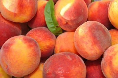 Limestone College To Host S.C. Peach Festival Events