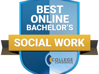 Best Online BSW Badge 2021