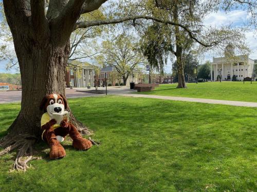 Bernie reading a book on campus
