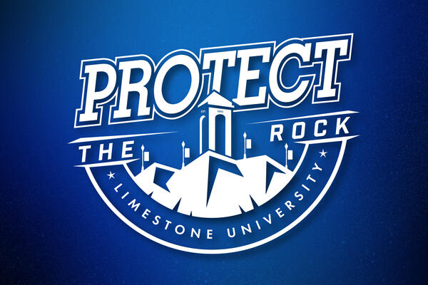 Protect the Rock ad