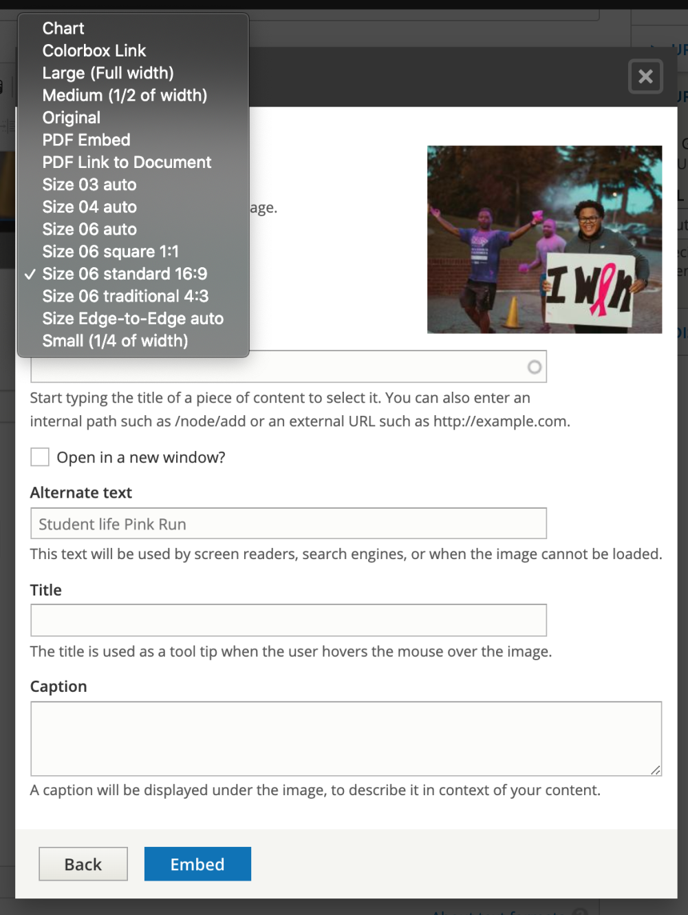 Insert image into Rich Text