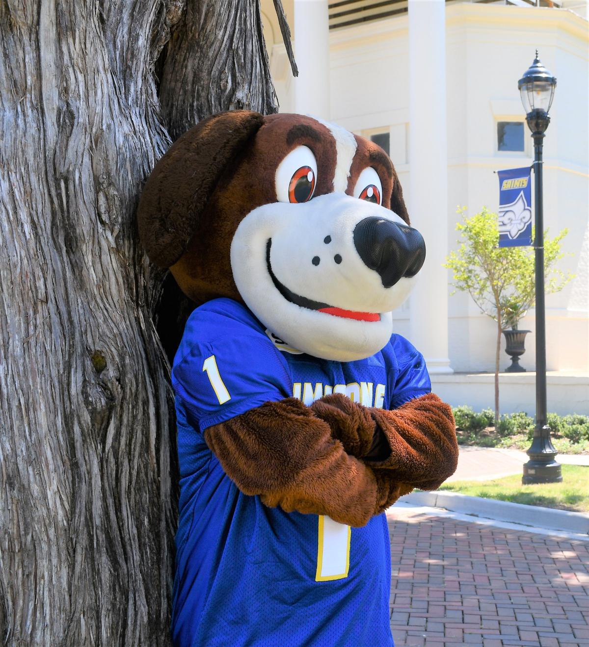 Traditions Limestone University