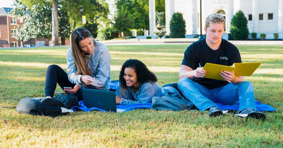 Bachelor of Applied Science Limestone University